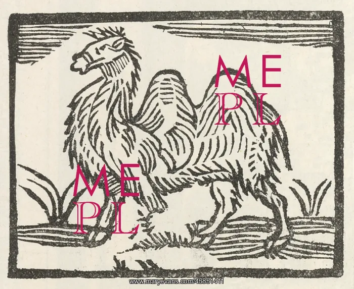 : NOVELTY CAMEL EARLY C18 : NOVELTY CAMEL EARLY C18