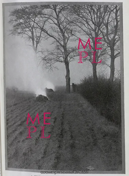 : November in the Cornfields, by B Ward-Thompson : November in the Cornfields, by B Ward-Thompson