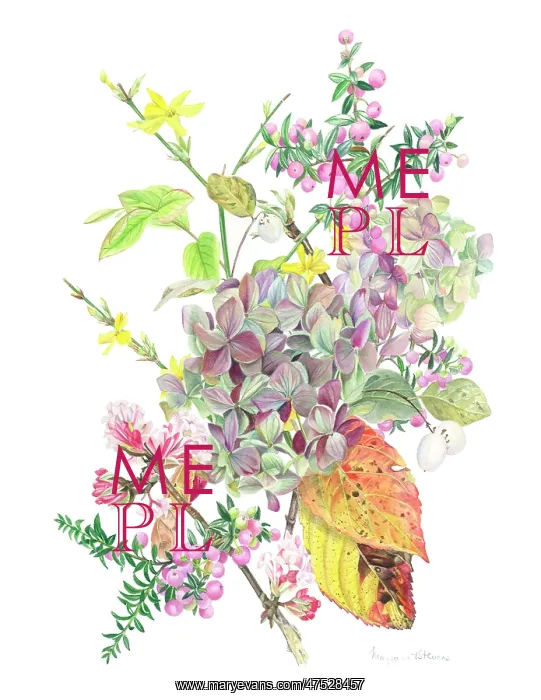 : November Flowers and Berries : November Flowers and Berries