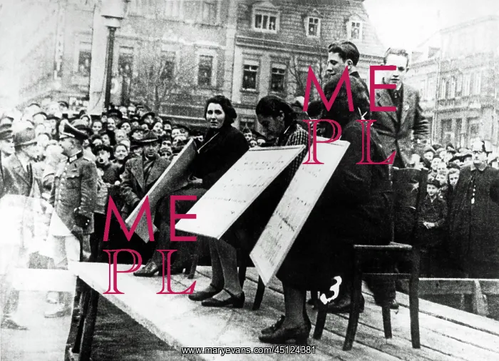 : November Pogrom 1938 : November Pogrom 1938