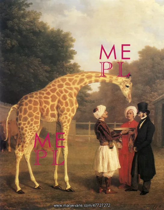  : The Nubian Giraffe
