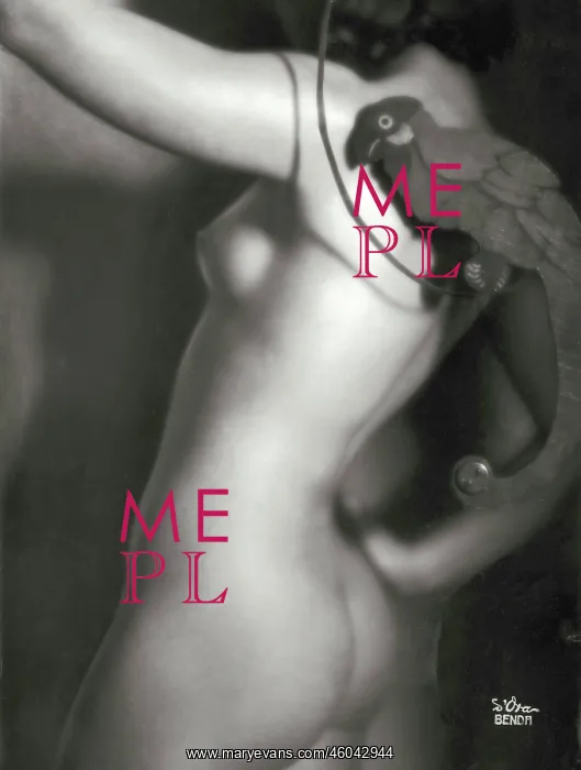 : Nude with parrot : Nude with parrot