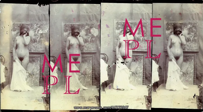 : Nude of a woman with : Nude of a woman with
