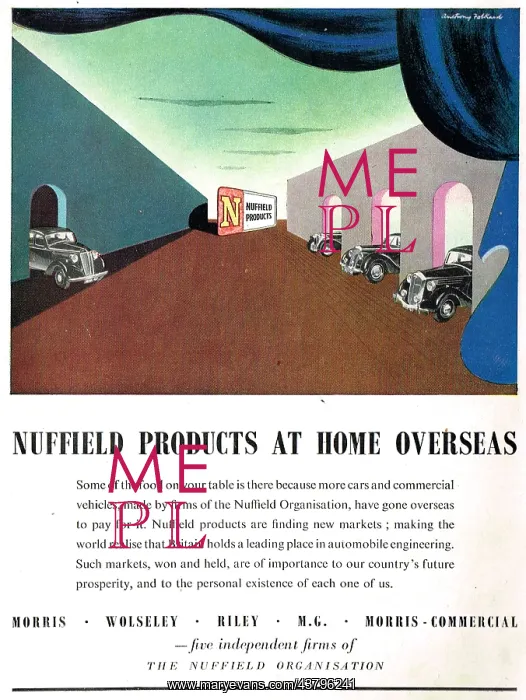 : The Nuffield Organisation : The Nuffield Organisation