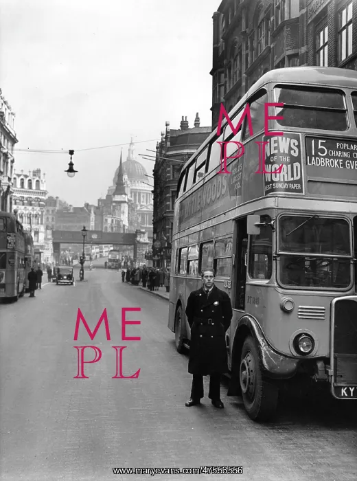 : The number 15 bus and bus driver in London : The number 15 bus and bus driver in London