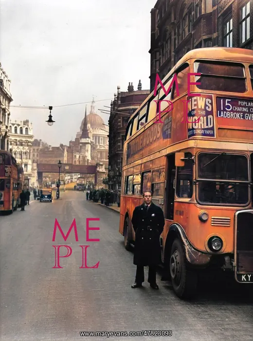 : The number 15 bus and bus driver in London : The number 15 bus and bus driver in London