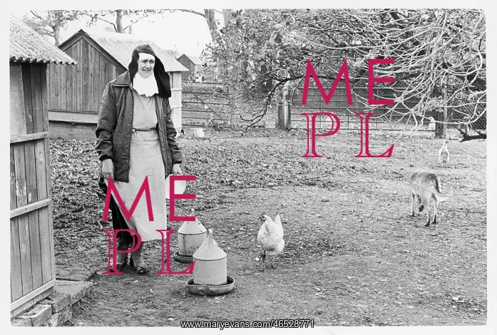 : Nun in farmyard, Poor Clares Convent : Nun in farmyard, Poor Clares Convent