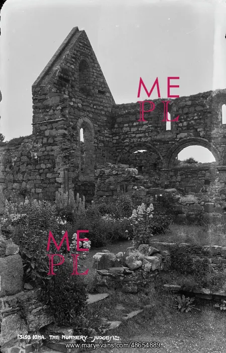 : The Nunnery Ruins : The Nunnery Ruins