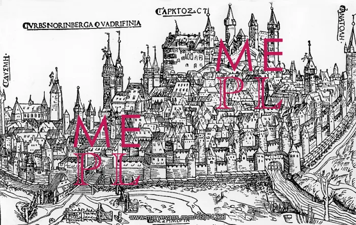 : Nuremberg. 16th century woodcut of Nuremberg, Germany : Nuremberg. 16th century woodcut of Nuremberg, Germany