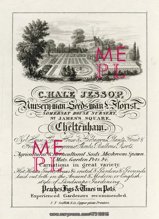 : NURSERYMAN'S TRADE CARD : NURSERYMAN'S TRADE CARD