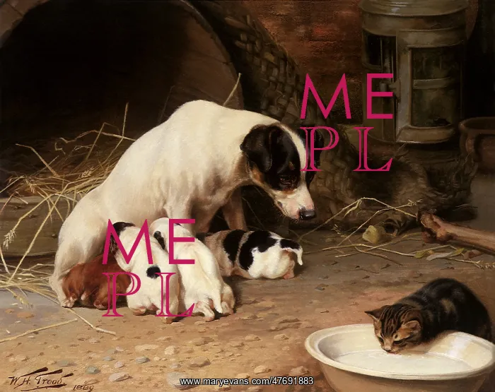  : Nursing Puppies