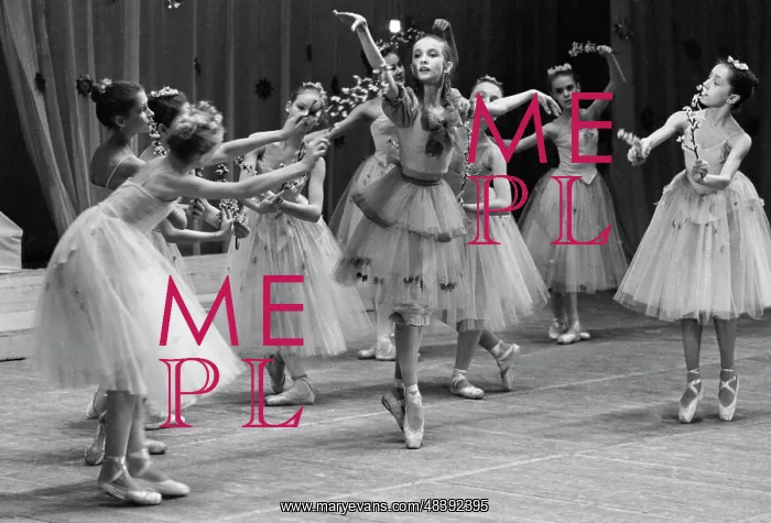 : Nutcracker Ballet : Nutcracker Ballet