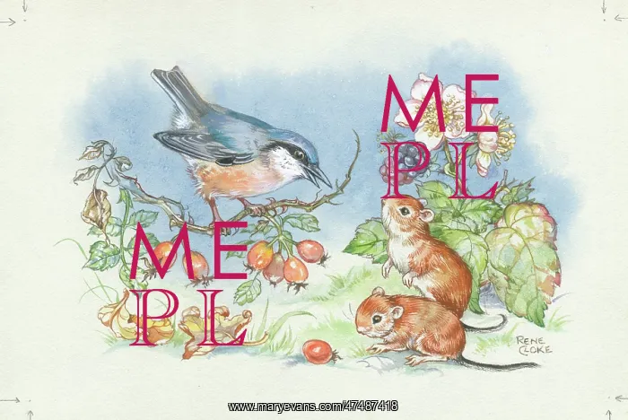  : Nuthatch and two mice with brambles and hips