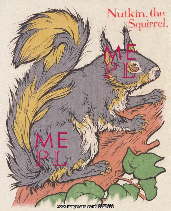 : Nutkin the Squirrel : Nutkin the Squirrel