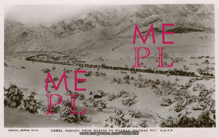  : NWFP - A camel convoy (train) from Razani to Razmak