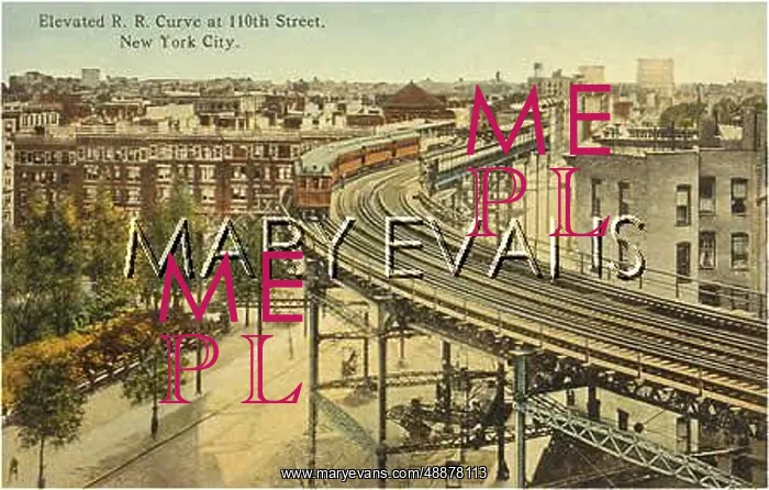 : NY ELEVATED : NY ELEVATED