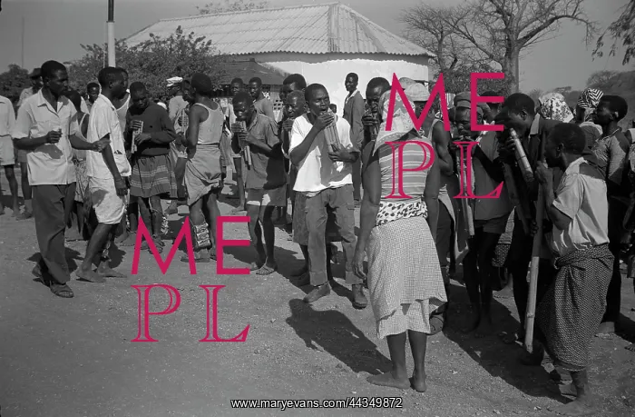 : Nyanga panpipes possible at Matambo, Mozambique, Nyungwe : Nyanga panpipes possible at Matambo, Mozambique, Nyungwe