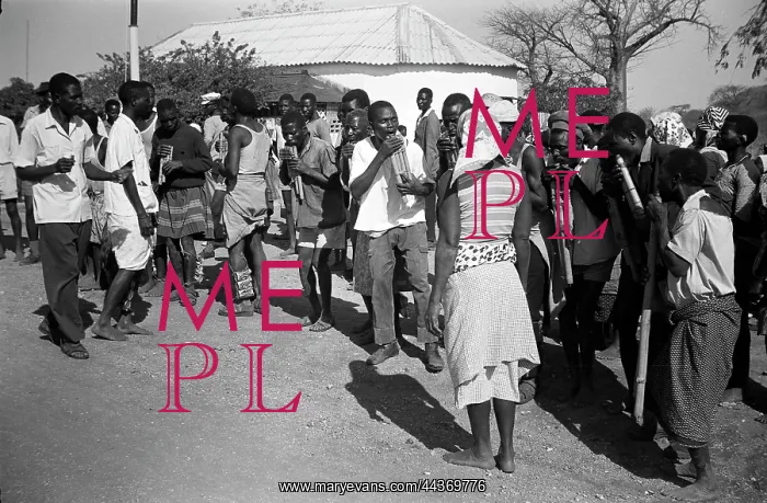 : Nyanga panpipes possible at Matambo, Mozambique, Nyungwe : Nyanga panpipes possible at Matambo, Mozambique, Nyungwe