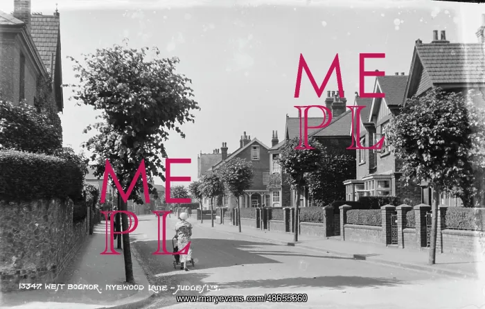 : Nyewood Lane in West Bognor : Nyewood Lane in West Bognor