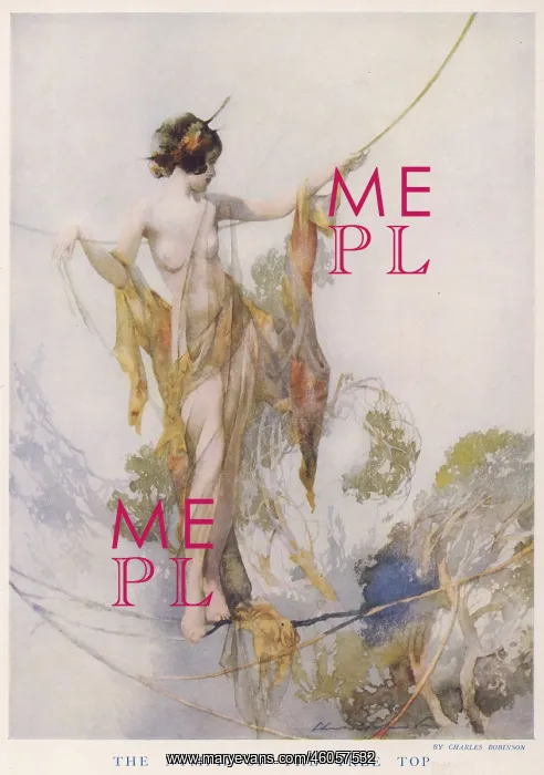 : The Nymph of the Tree Top : The Nymph of the Tree Top