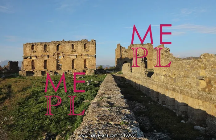 : Nymphaeum and basilica, Aspendos, Turkey : Nymphaeum and basilica, Aspendos, Turkey