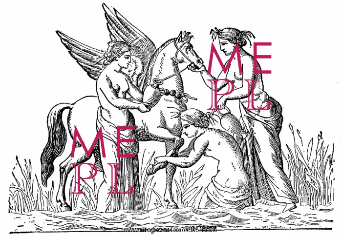 : Nymphs attending the winged horse, Pegasus which : Nymphs attending the winged horse, Pegasus which