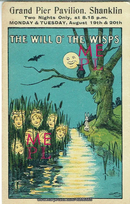 : The Will O The Wisps : The Will O The Wisps
