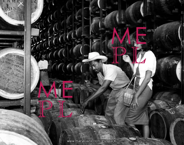 : Oak casks of Jamaican Rum. ca 1960s..? : Oak casks of Jamaican Rum. ca 1960s..?