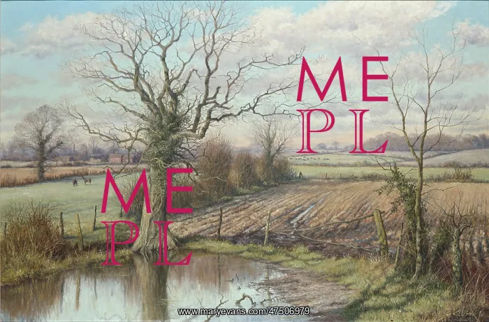 : The Oak by the Pond : The Oak by the Pond