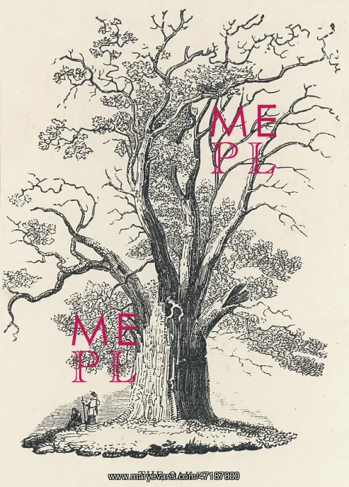 : OAK TREE C1850