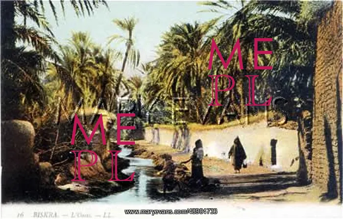 : OASIS AS BISKRA : OASIS AS BISKRA