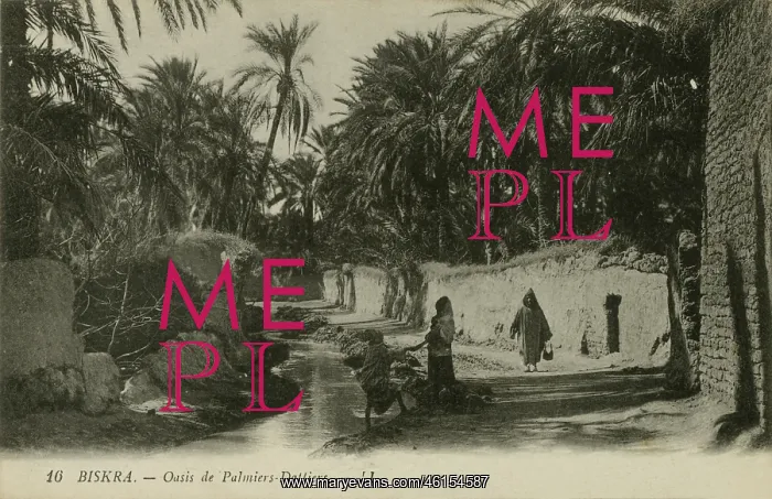 : Oasis of date-palms, Biskra : Oasis of date-palms, Biskra