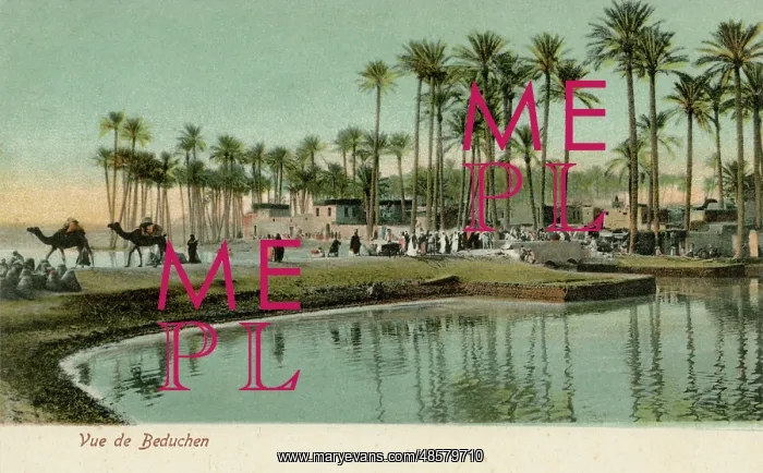  : Oasis in Egypt