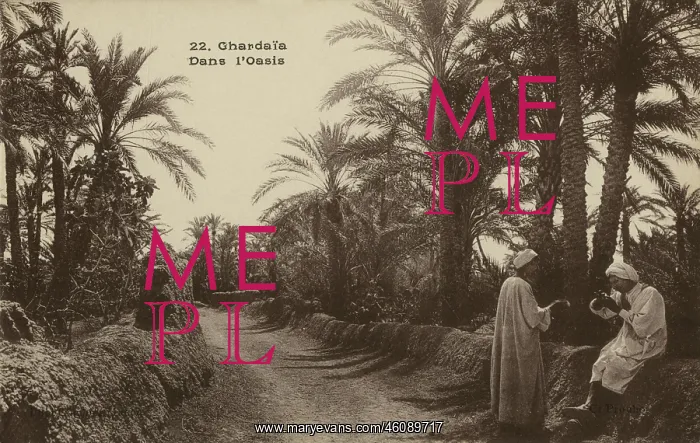 : In the Oasis. Ghardaia, Algeria : In the Oasis. Ghardaia, Algeria