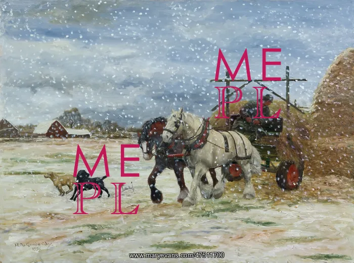 : Oat Hay ' horses pulling cart in snow : Oat Hay ' horses pulling cart in snow