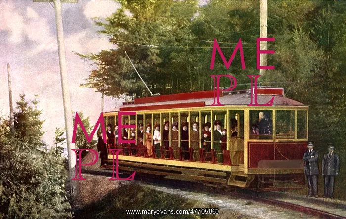 : Observation Car