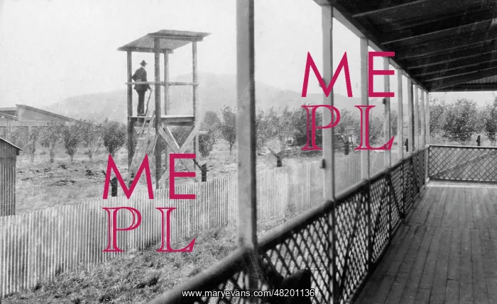 : Observation post in a South African POW camp, 1915 : Observation post in a South African POW camp, 1915