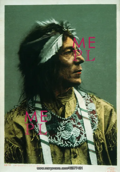 : Obtossaway, Native American Ojibwa Chief : Obtossaway, Native American Ojibwa Chief