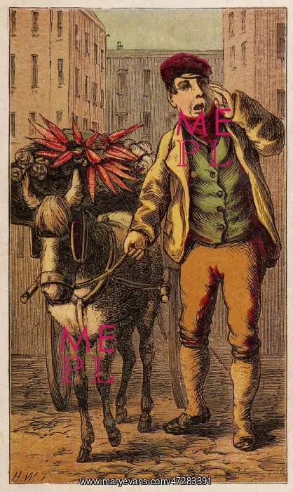  : Occupation - Costermonger