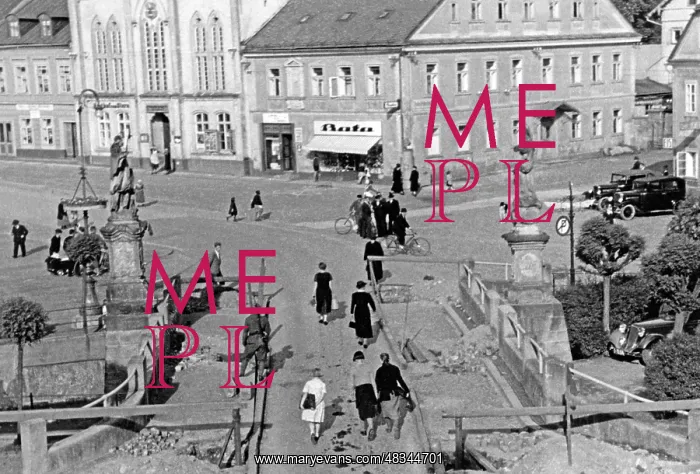 : Occupation of the Sudetenland, 1938 : Occupation of the Sudetenland, 1938
