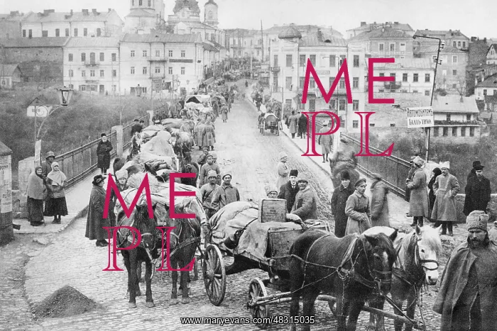 : Occupation of Ukraine by German and Austrian troops, 1918 : Occupation of Ukraine by German and Austrian troops, 1918