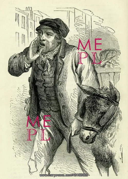 : Occupations 1882 - The Costermonger