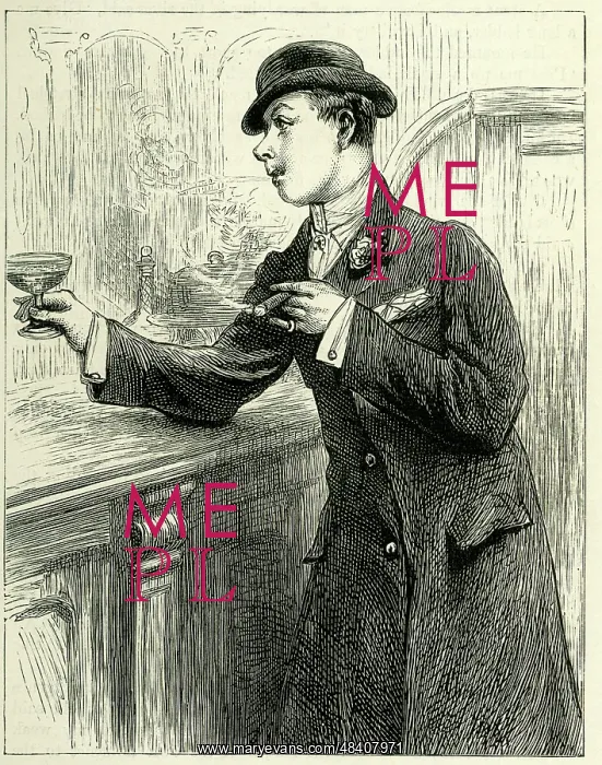  : Occupations 1882 - A Swell