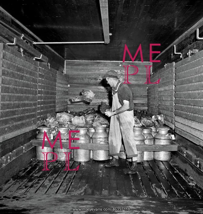 : occupations - dairy - food and drink : occupations - dairy - food and drink