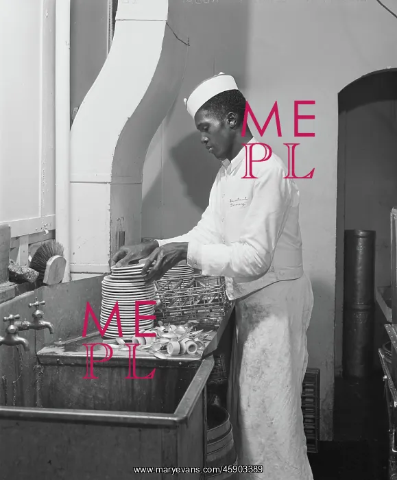 : Occupations - Dishwasher - African-American Ethnicity : Occupations - Dishwasher - African-American Ethnicity