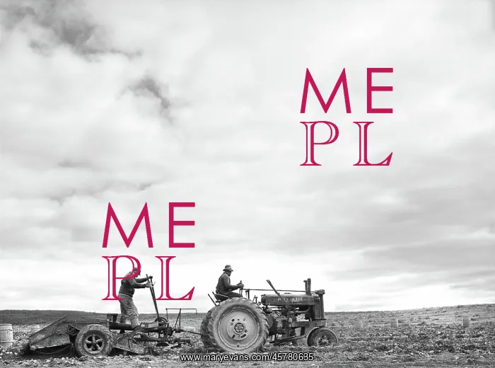 : Occupations, farm, tractor, agriculture : Occupations, farm, tractor, agriculture