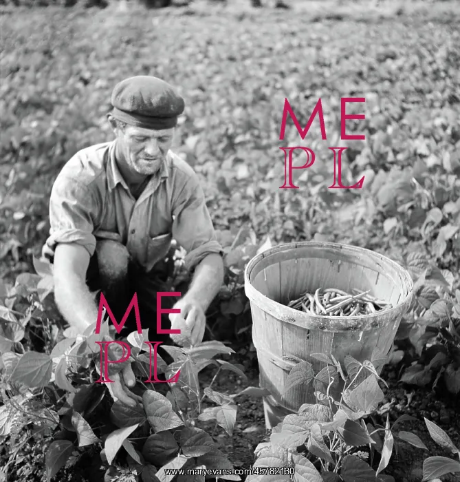 : Occupations - Farmer - Agriculture : Occupations - Farmer - Agriculture