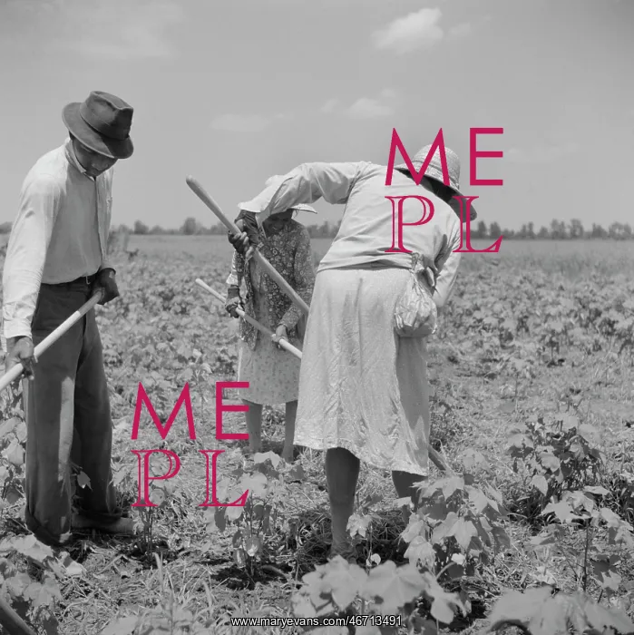 : Occupations - People - Farmers - Workers : Occupations - People - Farmers - Workers