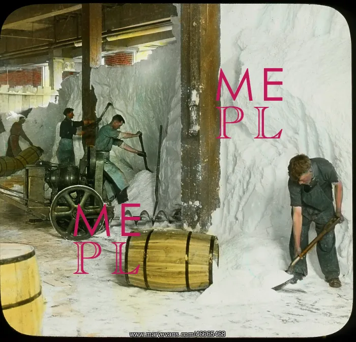 : Occupations - Salt - Labor - Workers - USA : Occupations - Salt - Labor - Workers - USA