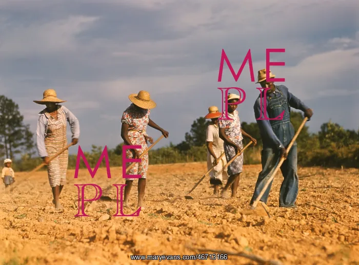 : Occupations - sharecroppers - agriculture - cotton : Occupations - sharecroppers - agriculture - cotton